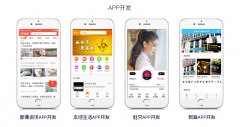 APP开发教育软件商城定制作
