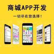 APP开发|商城|旅游|管理|物流|教育